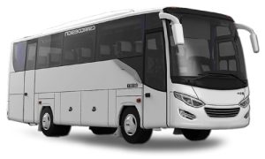 Bus 30 seat