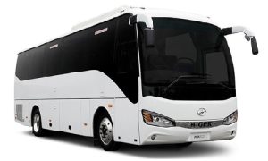Bus 35 seat